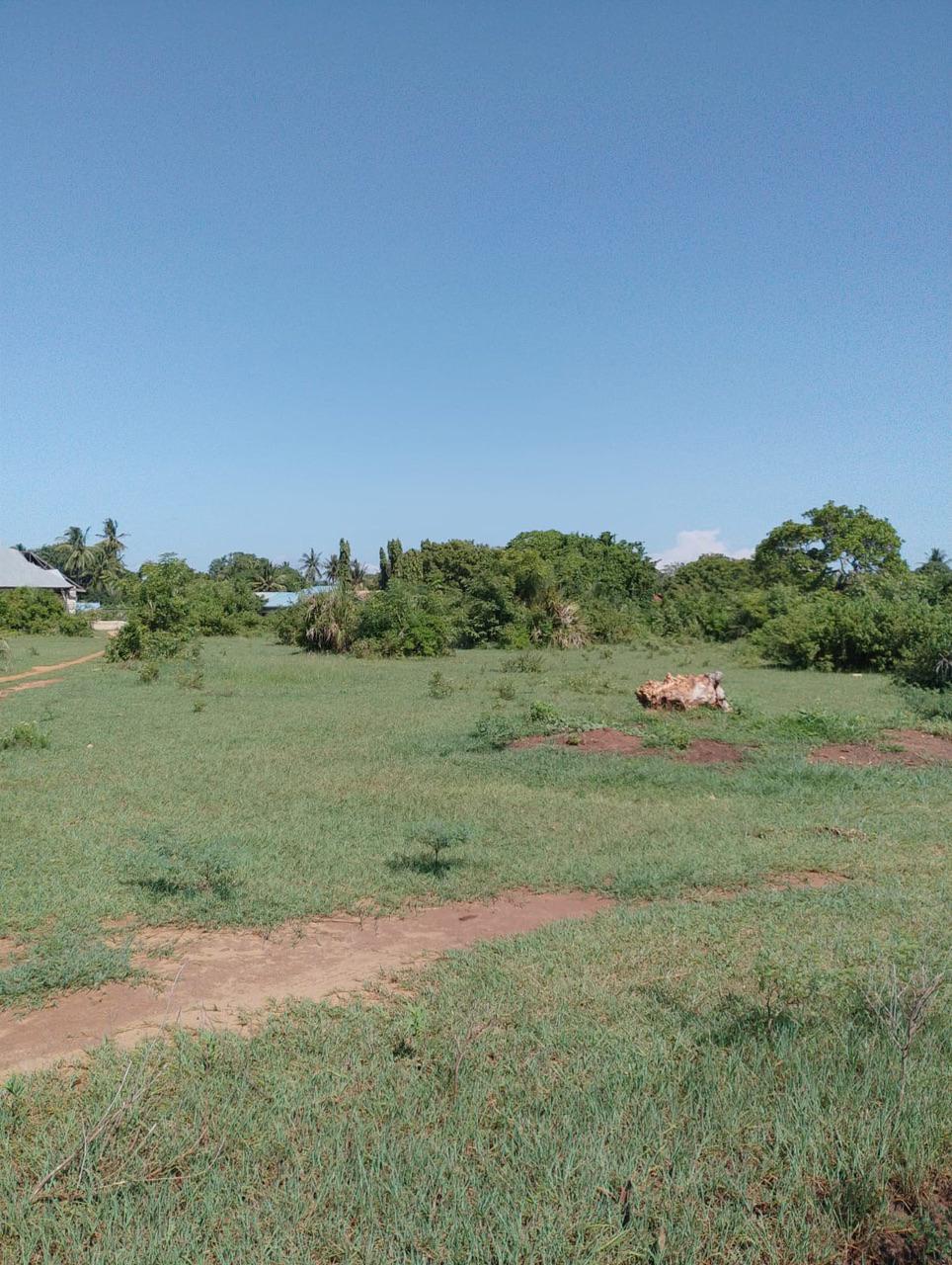 Quarter Acre Plot for Sale – Diani Mwaroni
